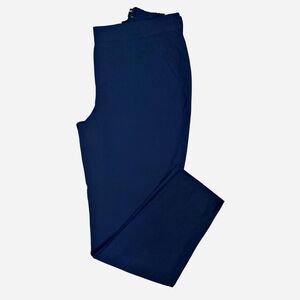 Banana Republic Navy Hayden Pants